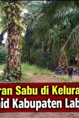 Diduga Transaksi Sabu Terang-terangan di Pardamean, Ada Apa dengan Polres Labuhanbatu?